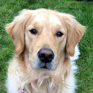 Meet your Posher, Kaylie